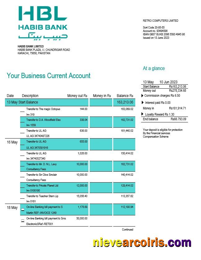 HBL Bank firm account statement